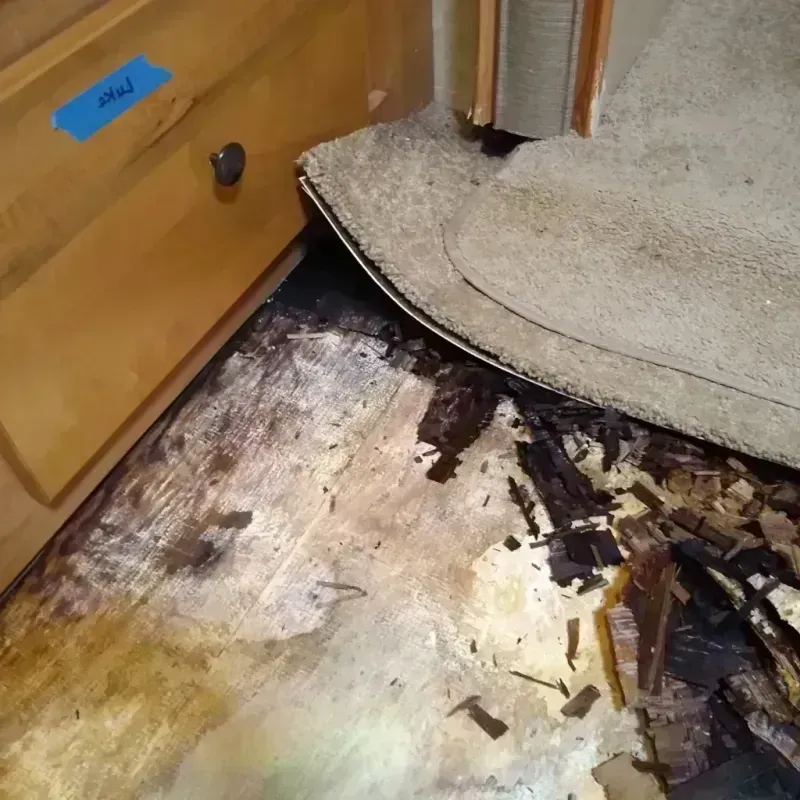 Wood Floor Water Damage in Forest County, WI